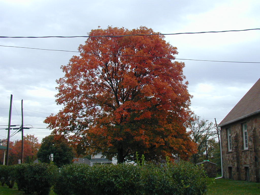 BigPicture of PA160001.JPG