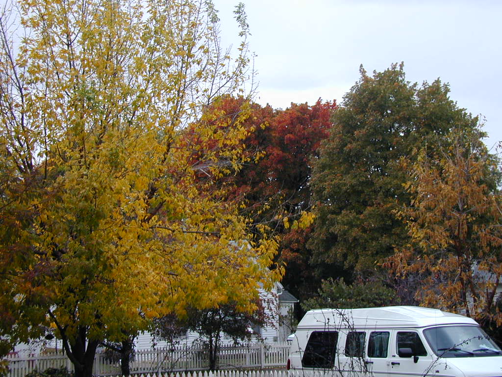 BigPicture of PA160005.JPG