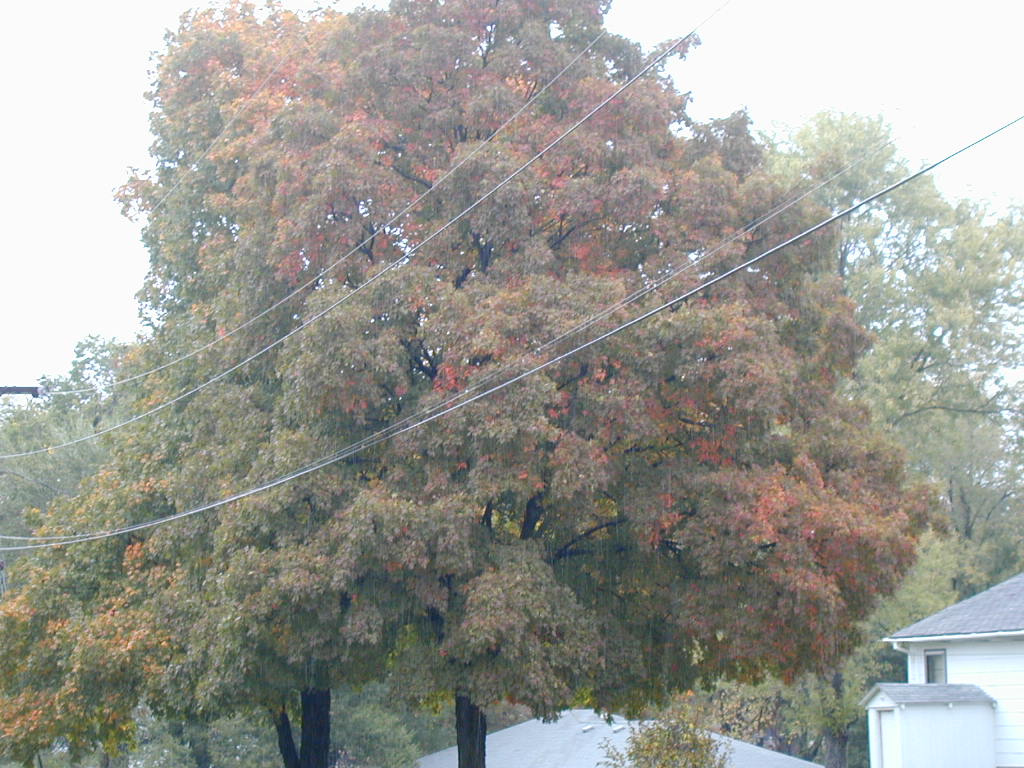 BigPicture of PA160017.JPG