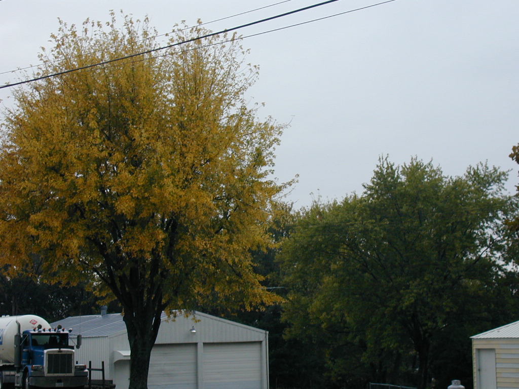 BigPicture of PA160018.JPG