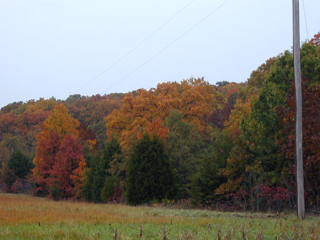 BigPicture of PA160022.JPG