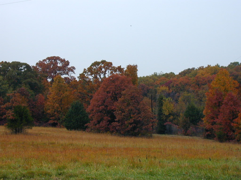 BigPicture of PA160023.JPG