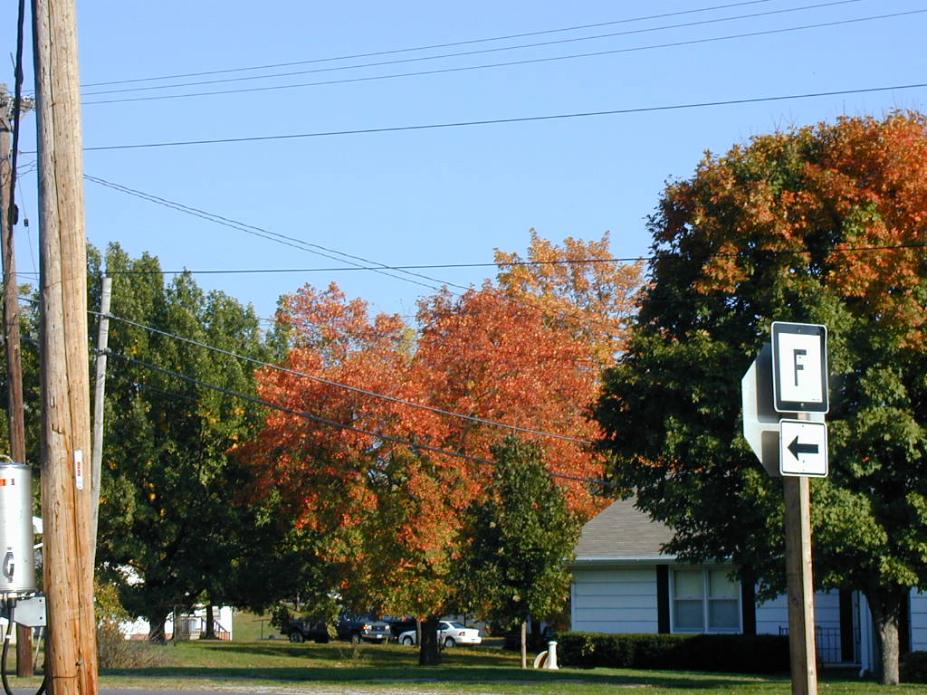 BigPicture of PA160037.JPG