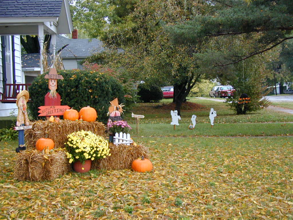 BigPicture of PA161032.JPG