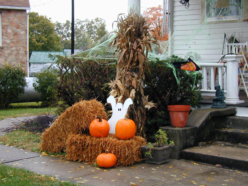 BigPicture of PA161035.JPG