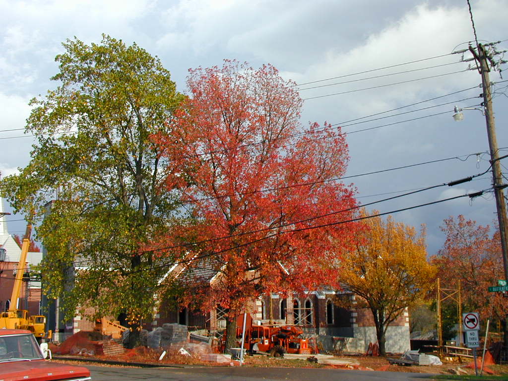 BigPicture of PA230342.JPG