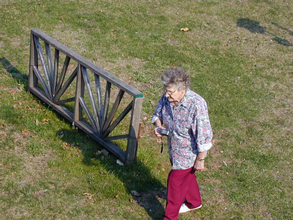 BigPicture of P3310044.JPG
