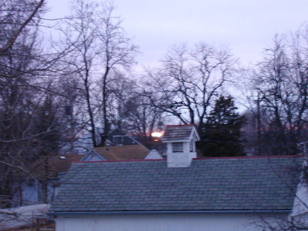 BigPicture of P2010047.JPG