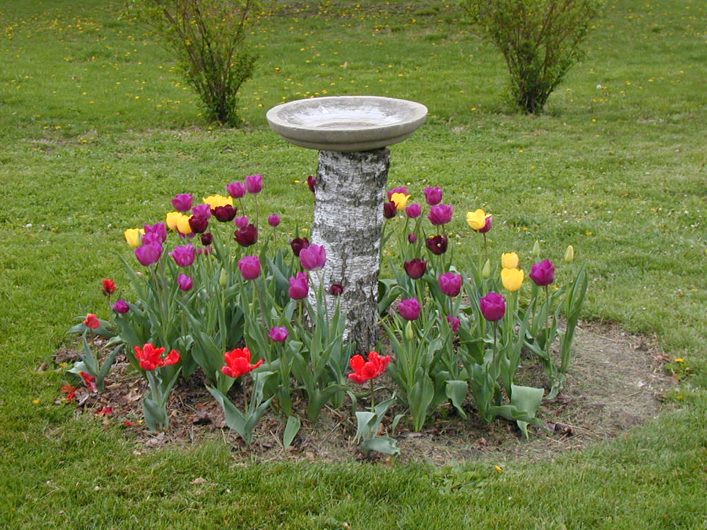 BigPicture of P4200166.JPG